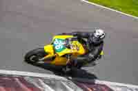 Lower Group Yellow Bikes